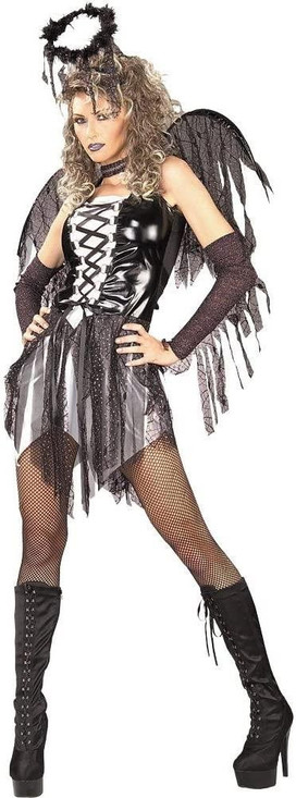 Fallen Angel Secret Wishes Costume