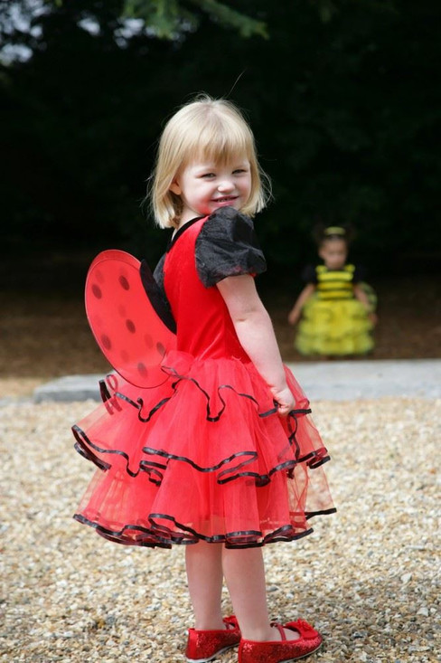 Girls Ladybird Fairy Costume