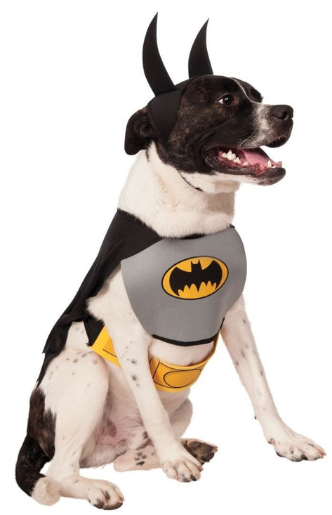 Chestpiece Dog Batman