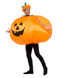 Pumpkin Inflatable Costume, Orange