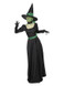 Witch Costume, Black