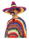 Large Sombrero, Multi-Coloured