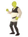 Shrek Costume, Green, Adult