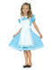 Wonderland Princess Costume, Blue