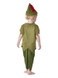 Toddler Robin Hood Costume, Green & Brown