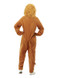 Lion Costume, Brown, Adult