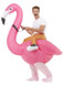 Inflatable Ride Em Flamingo Costume, Pink