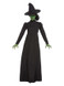 Wicked Witch Costume, Black, Adult