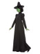 Wicked Witch Costume, Black, Adult