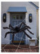 Outdoor Giant Spider & 1.2m Web