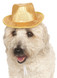 Dog Gold Sequinned Fedora Hat