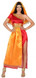 Ladies Sexy Bollywood Fancy Dress Costume