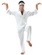 Mens Karate Fancy Dress Costume