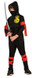 Boys Ninja Fancy Dress Costume