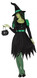Ladies Wicked Witch Fancy Dress Costume