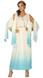Ladies Greek Ombre Goddess Fancy Dress Costume