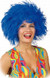 Adults Blue Afro Clown Wig