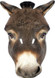 Adult Donkey Fancy Dress Face Mask