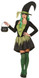 Ladies Green Wicked Witch Fancy Dress Costume