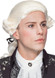 Adult White Baroque Fancy Dress Wig