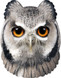 Adult Owl Fancy Dress Face Mask