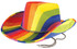 Adults Rainbow Pride Stetson Fancy Dress Hat