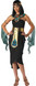 Ladies Cleopatra Fancy Dress