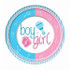 Gender Reveal Plates