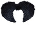 Ladies Mini Black Feathered Angel Wings