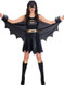 Ladies Batgirl Costume