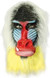 Latex Mandrill Baboon Mask One Size