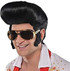 Adults 1950's The King of Rock n Roll Wig