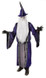 Violet Wizard Costume One Size