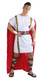 Mens Roman Fancy Dress Costume