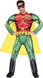 Offical Deluxe Robin Classic Fancy Dress Costume
