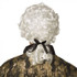 Mens Baroque Elizabethan Wig