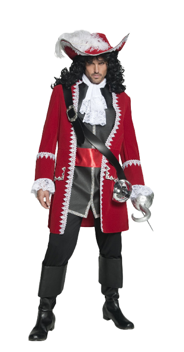 Disney Store Captain Hook Pirate Sword & Hook Costume Accessories Set Peter  Pan : : Toys & Games