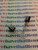 2SC558B / TRANSISTOR / 2 PIECES (qzty)