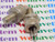 5502 / SCR / COMPARABLE TO ECG5502, NTE5502 / STUD MOUNT / 2 PIECES (qzty)