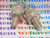 5502 / SCR / COMPARABLE TO ECG5502, NTE5502 / STUD MOUNT / 2 PIECES (qzty)