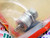 C220C / SCR / STUD MOUNT / 1 PIECE (qzty)