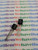 2SC5589 /   TRANSISTOR / 2 PIECE /  (qzty)