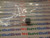 BC338-40 / TRANSISTOR / TO92 / 1 PIECE (qzty)