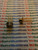 LM3018  / TRANSISTOR / TO5 / 1 PIECE  (qzty)