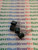 MCR100-3 / TRANSISTOR /2 PIECES / (qzty)