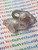2SC1104 / TRANSISTOR / NEC / 2 PIECES (qzty)