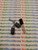 2SC2328A/ TRANSISTOR / TO92 / 3 PIECES (QZTY)