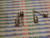 MN115 / TRANSISTOR  / 3 PIECES (QZTY)
