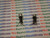 BC108B / TRANSISTOR  /  NPN / TO-18 / NEW / 5 PIECES (QZTY)