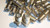 F81 RF BARREL CONNECTOR / FEMALE TO FEMALE / 25 PIECES (qzty)